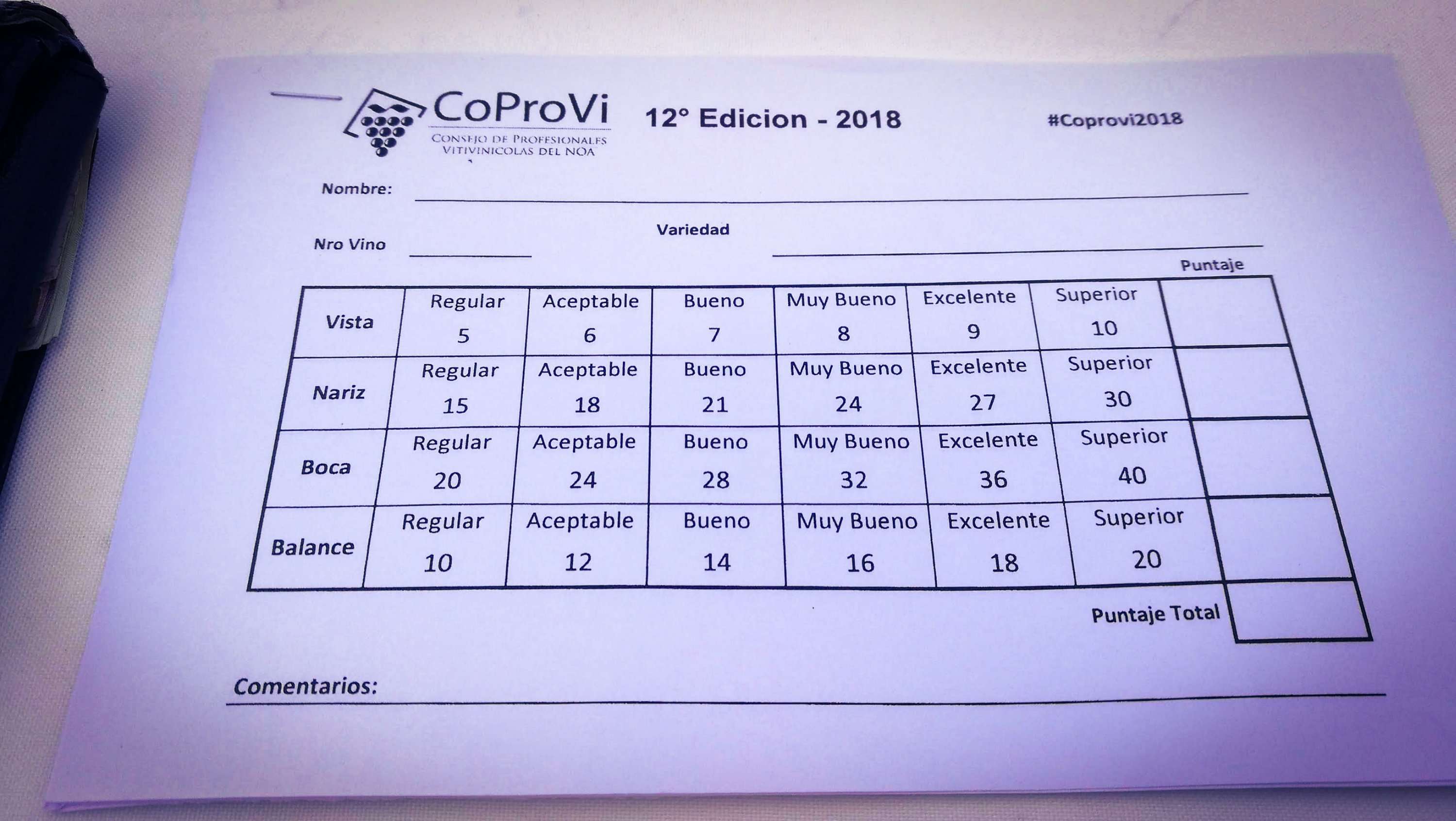 CoProVi 2018: amor a primera vista 19 CoProVi 2018: amor a primera vista 19