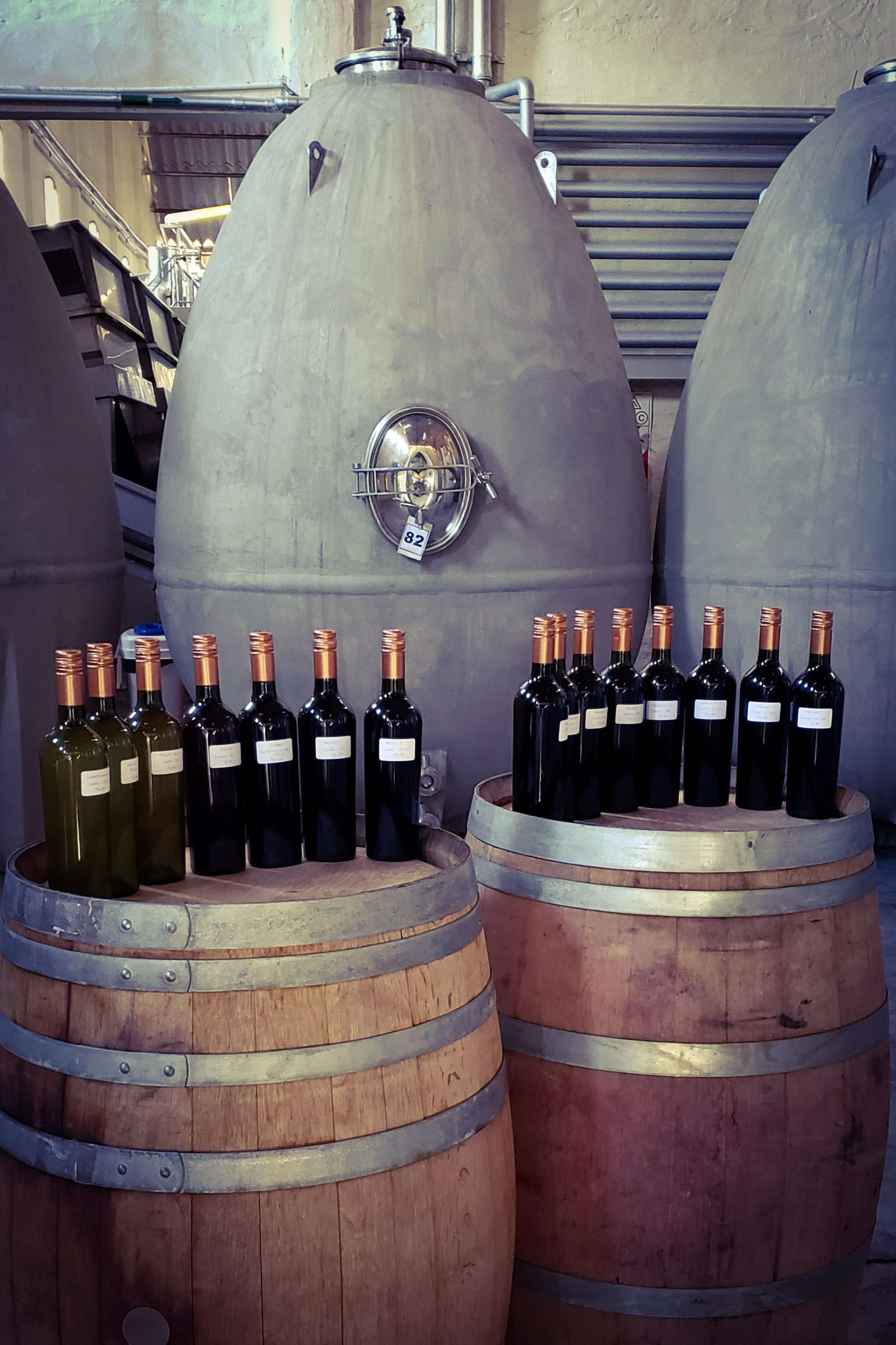 A la sombra del Chañar Punco 23 Degustación en Chañar Punco