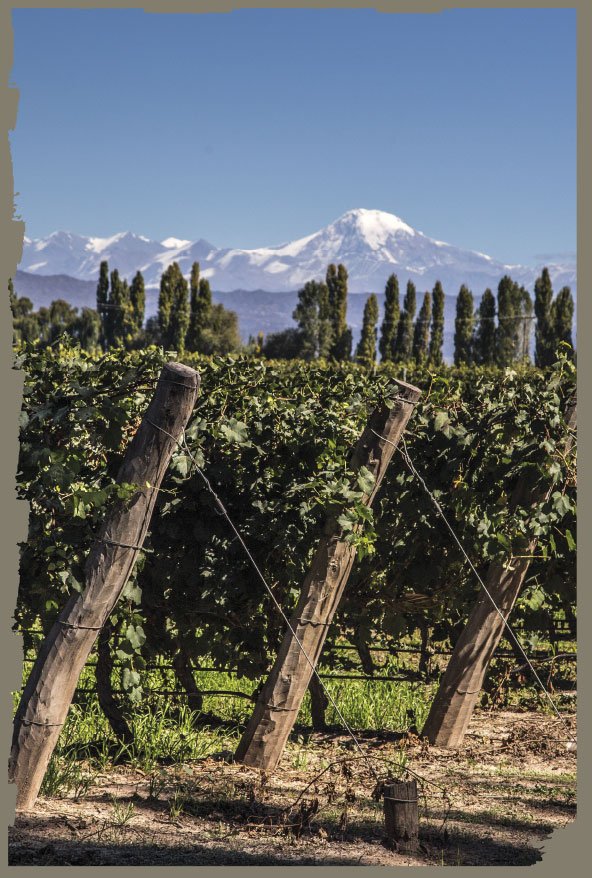 Lanzamiento: Gran Potrero Malbec 2016 7 Lanzamiento: Gran Potrero Malbec 2016 3