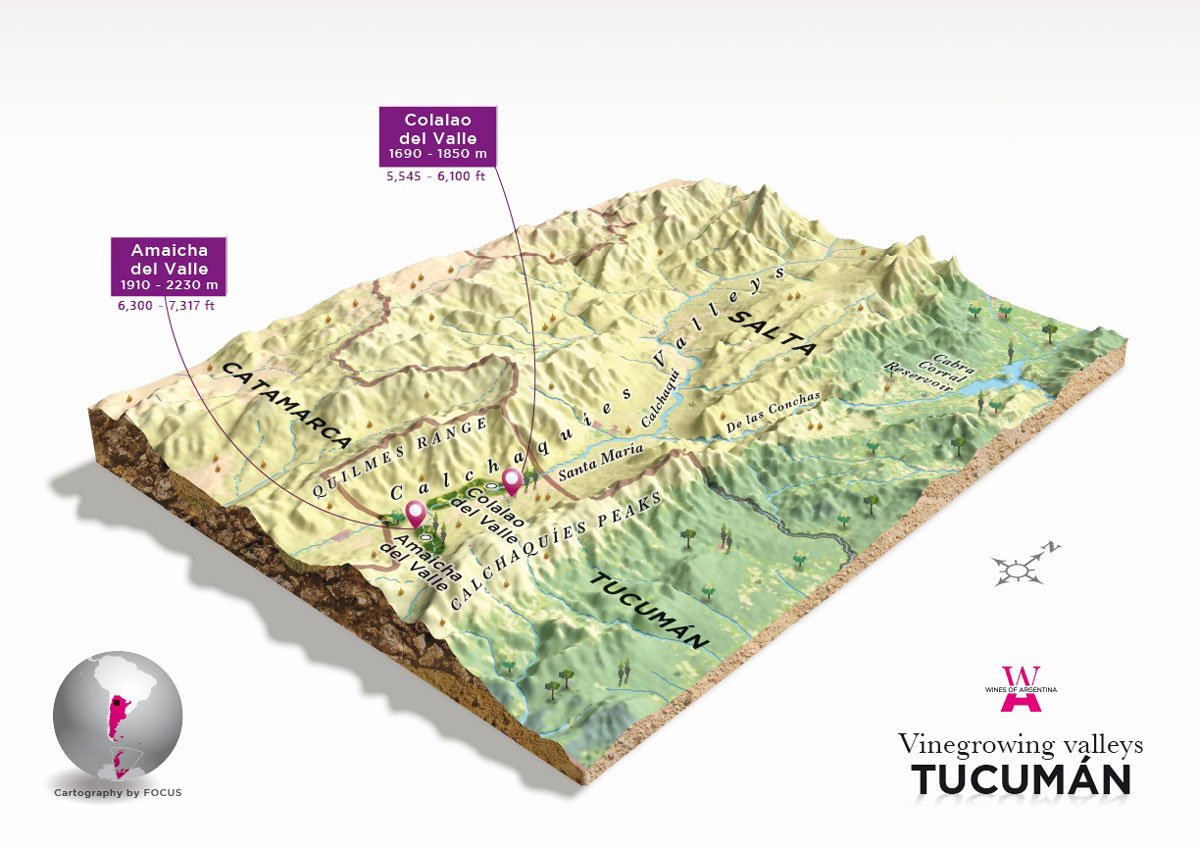 Altos La Ciénaga, el ADN del vino tucumano 5 Altos La Ciénaga - Valle Calchaquí tucumano