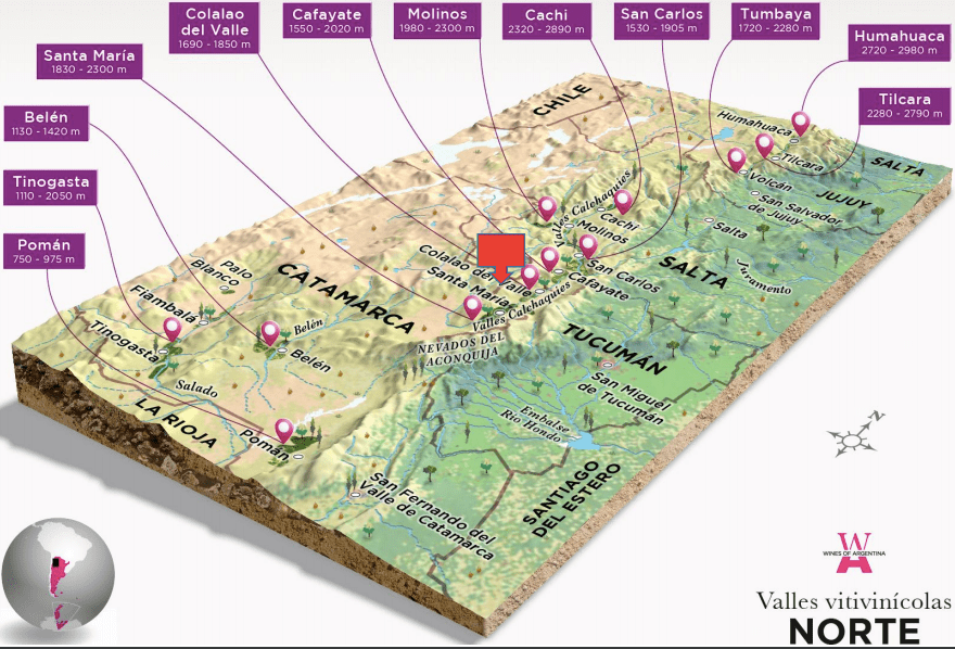 Altos La Ciénaga, el ADN del vino tucumano 3 Altos La Ciénaga - Valles Calchaquíes