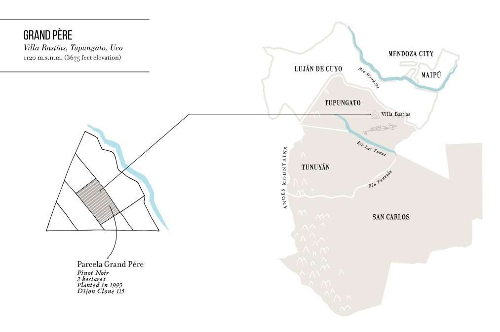 Domaine Nico, el sueño francés de Laura Catena 19 Domaine Nico Grand Père