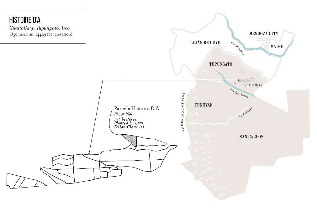 Domaine Nico, el sueño francés de Laura Catena 23 Domaine Nico Histoire D'A