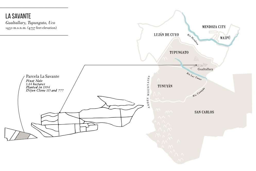 Domaine Nico, el sueño francés de Laura Catena 27 Domaine Nico La Savante