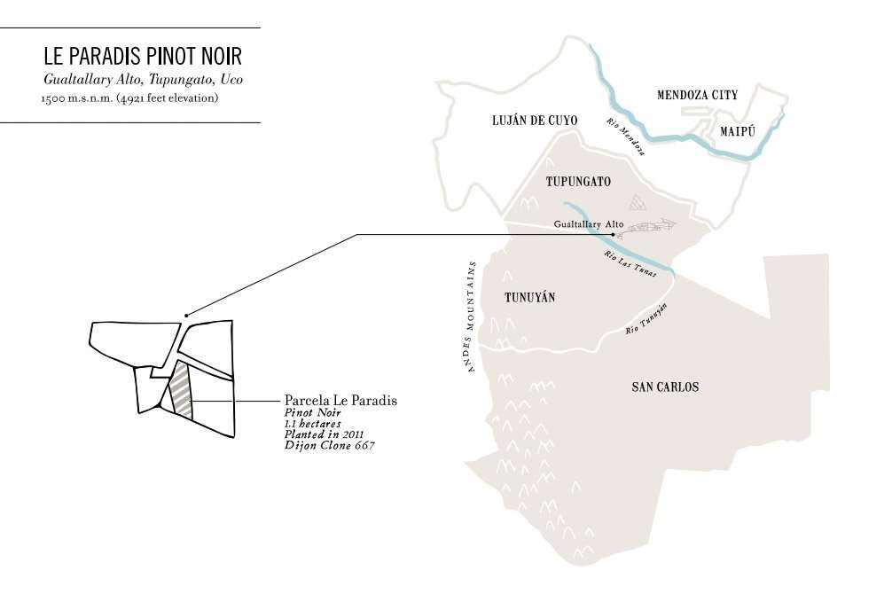 Domaine Nico, el sueño francés de Laura Catena 31 Domaine Nico Le Paradis