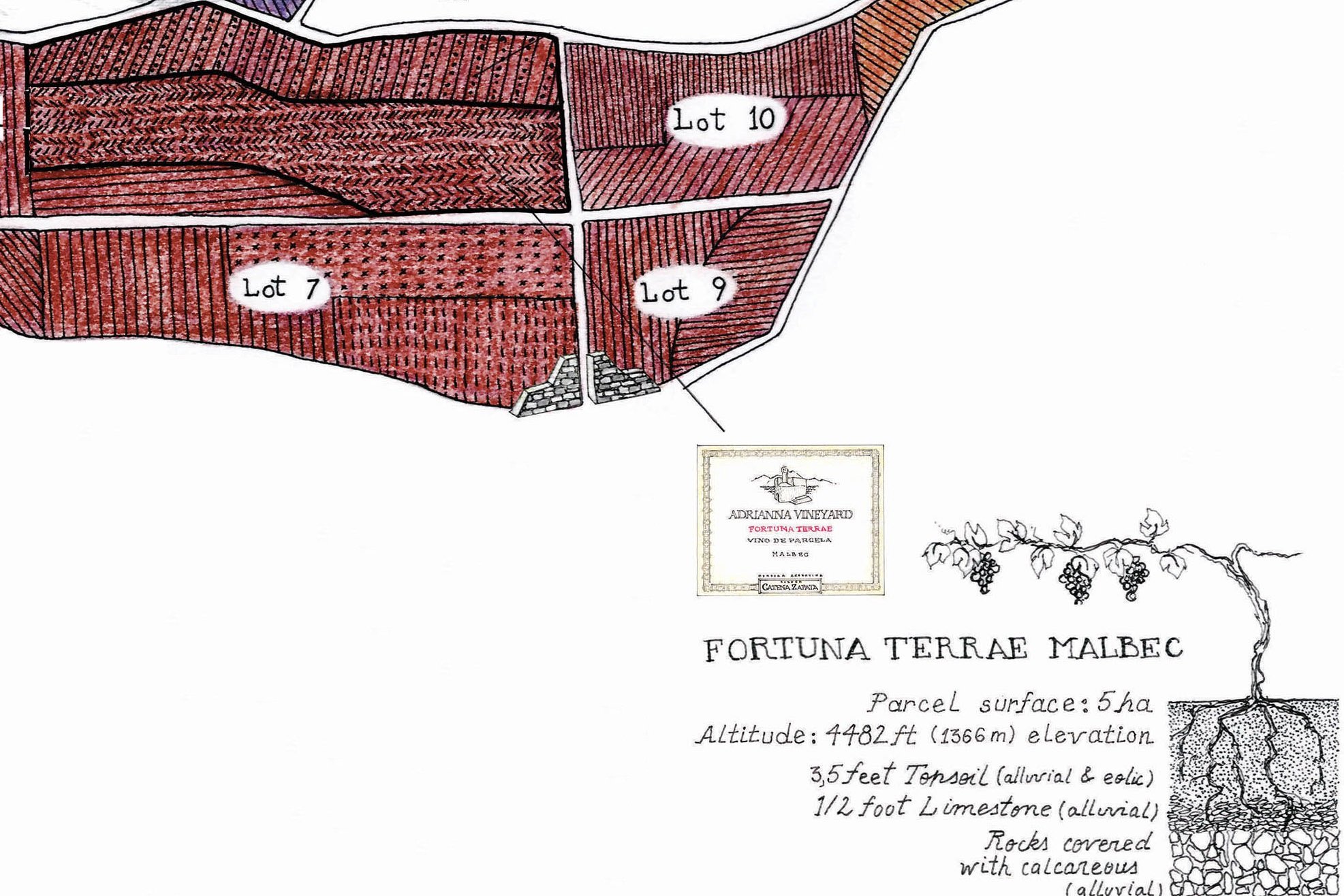 Adrianna Vineyard Vinos de Parcela, mensajeros del terruño 13 Adrianna Vineyard Fortuna Terrae