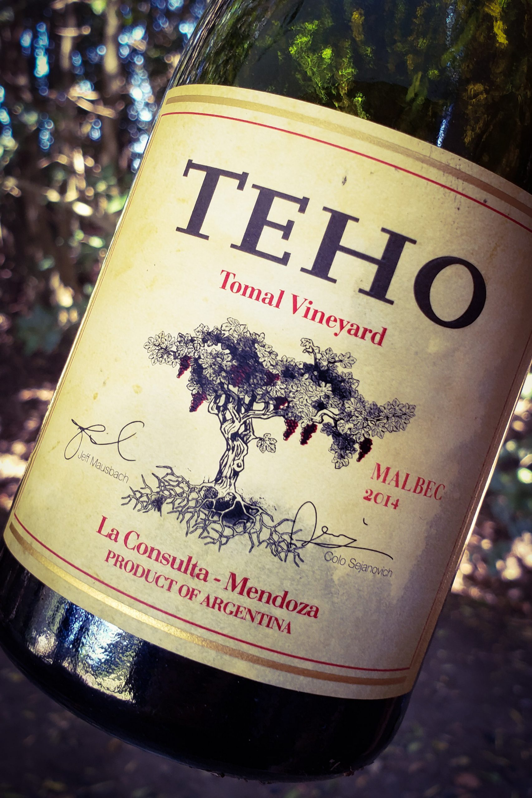14 vinos para pasar la cuarentena 12 cuarentena - teho