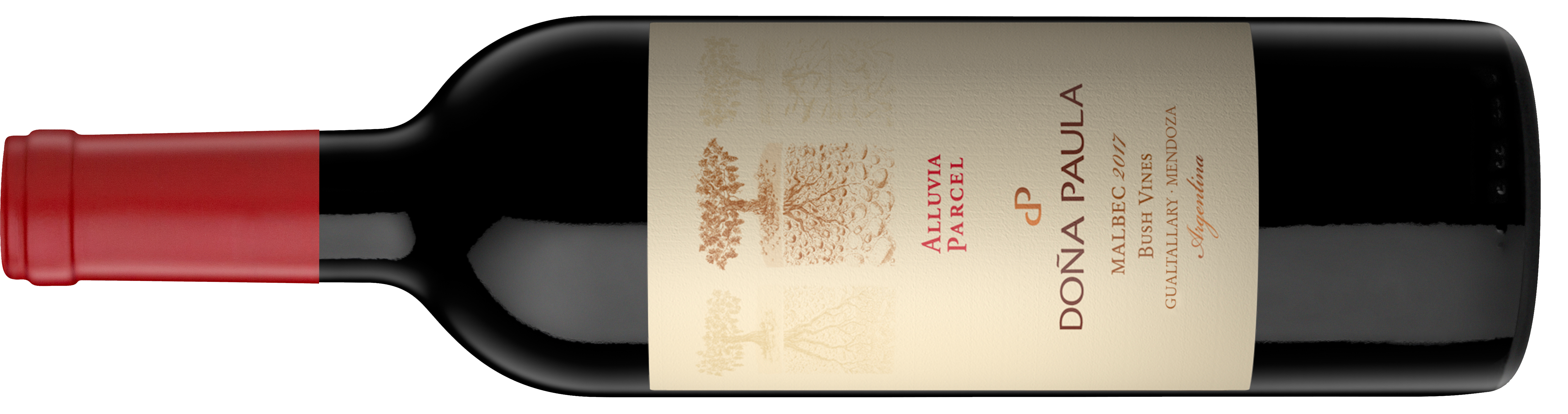 Medallas de Oro para Doña Paula en Decanter World Wine Awards 2020 3 doña paula