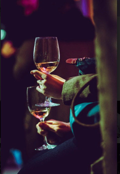Llega Expo Vinos de la Patagonia 2020 edición virtual 9 expo vinos de la patagonia