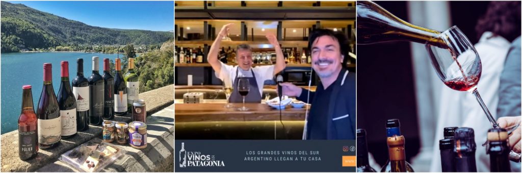 Llega la 2da edición virtual de Expo Vinos de la Patagonia 3 Expo Vinos de la Patagonia