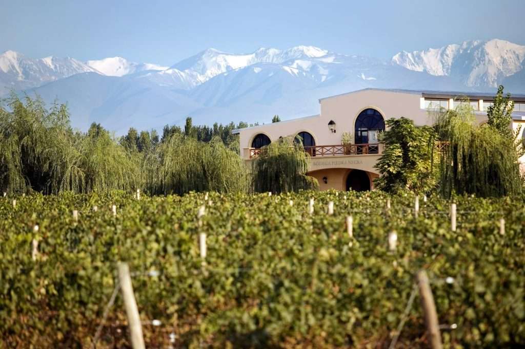 Bodega Piedra Negra, pioneros del Cabernet Sauvignon en Los Chacayes, celebra su día internacional 2 Piedra Negra