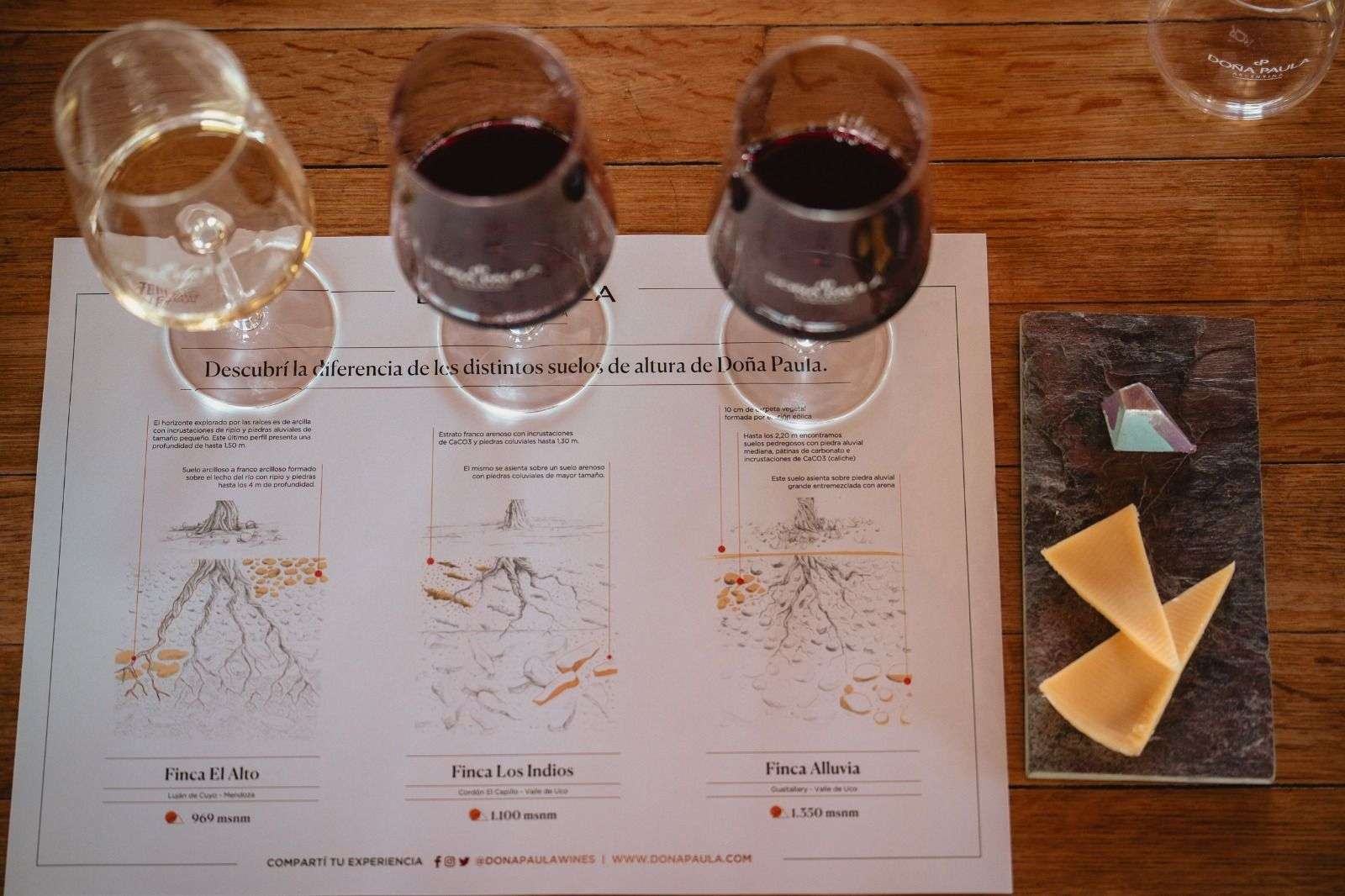 Bodega Doña Paula abre sus puertas al turismo: una experiencia única en el corazón de Luján de Cuyo 3 bodega doña paula